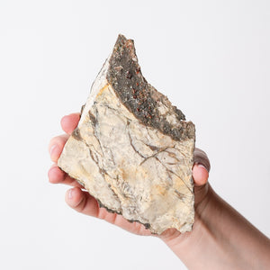 "Ruby Jack" Sphalerite, Chalcopyrite, and Calcite