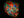Calcite, Hardystonite, Willemite, and Franklinite {Fluorescent}