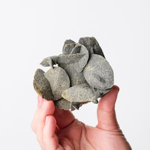Desert Rose (Selenite)