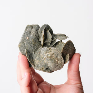 Desert Rose (Selenite)