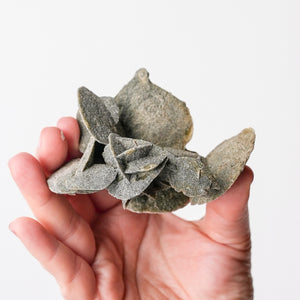 Desert Rose (Selenite)