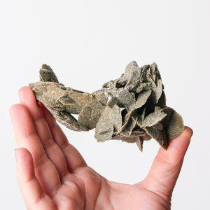 Desert Rose (Selenite)