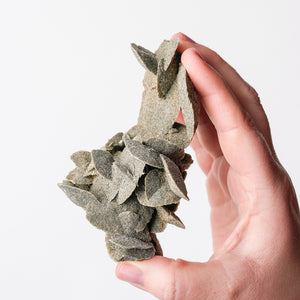 Desert Rose (Selenite)
