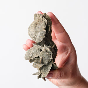 Desert Rose (Selenite)