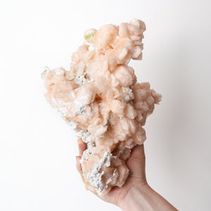Stunning Cabinet Stilbite Cluster with Apophyllite