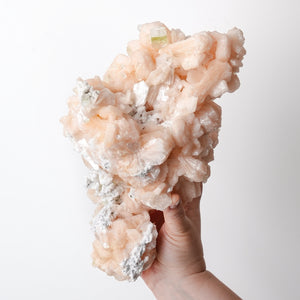 Stunning Cabinet Stilbite Cluster with Apophyllite