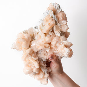 Stunning Cabinet Stilbite Cluster with Apophyllite