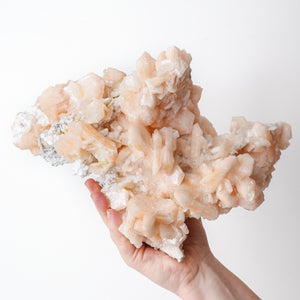 Stunning Cabinet Stilbite Cluster with Apophyllite