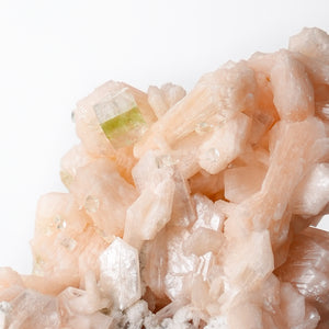Stunning Cabinet Stilbite Cluster with Apophyllite