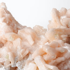 Stunning Cabinet Stilbite Cluster with Apophyllite