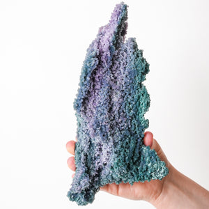 Beautiful Green and Purple Grape Agate