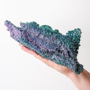 Beautiful Green and Purple Grape Agate