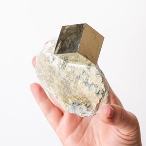Large Cubic Pyrite in Marlstone