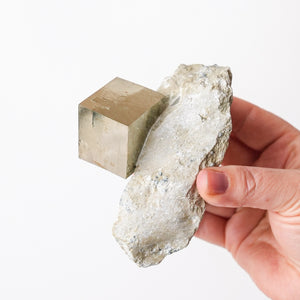 Large Cubic Pyrite in Marlstone
