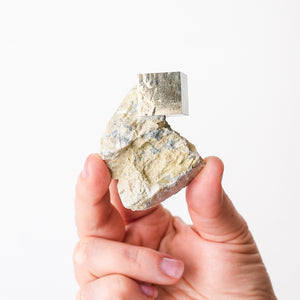 Cubic Pyrite in Marlstone