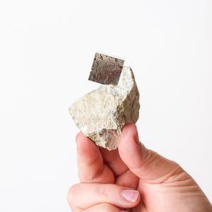 Cubic Pyrite in Marlstone