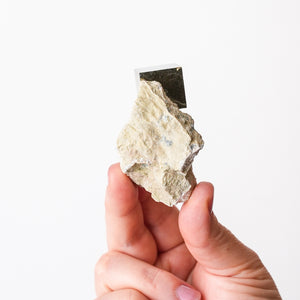 Cubic Pyrite in Marlstone
