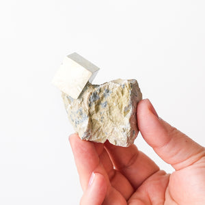 Cubic Pyrite in Marlstone