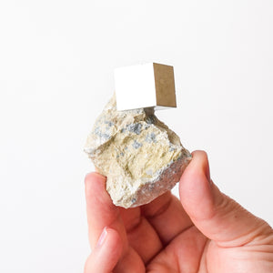 Cubic Pyrite in Marlstone