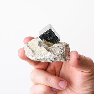 Cubic Pyrite in Marlstone