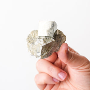 Cubic Pyrite in Marlstone
