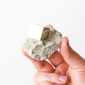 Cubic Pyrite in Marlstone