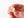 Gold in Quartz