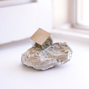Large Cubic Pyrite in Marlstone
