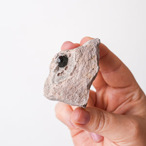 Garnet in Rhyolite