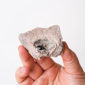 Garnet in Rhyolite