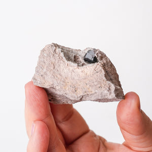 Garnet in Rhyolite
