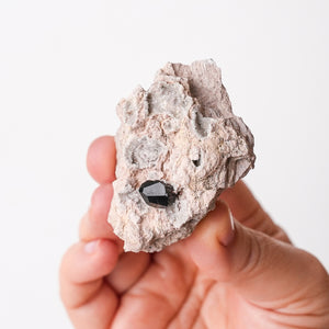 Garnet with Quartz in Rhyolite