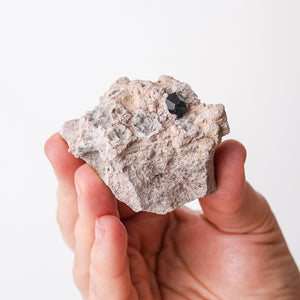 Garnet with Quartz in Rhyolite