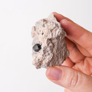 Garnet with Quartz in Rhyolite