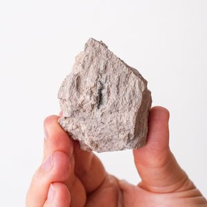 Garnet with Quartz in Rhyolite