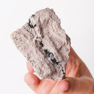 Multiple Garnets in Rhyolite
