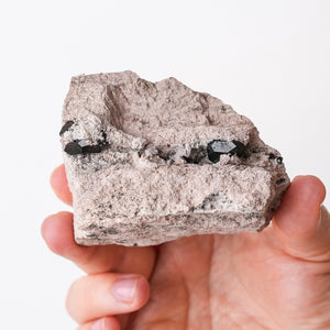 Multiple Garnets in Rhyolite