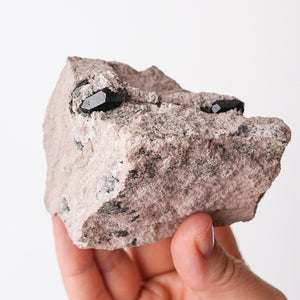 Multiple Garnets in Rhyolite