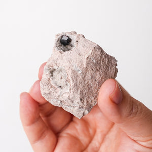 Garnet in Rhyolite