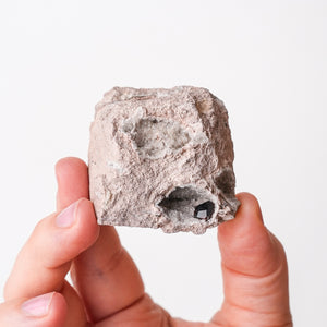 Garnet in Rhyolite