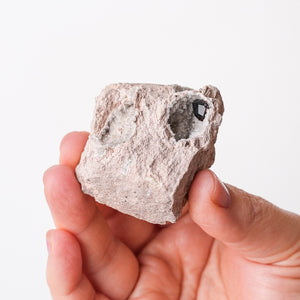 Garnet in Rhyolite