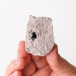 Garnet in Rhyolite