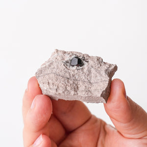 Garnet in Rhyolite