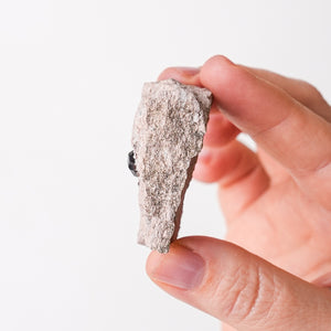 Garnet in Rhyolite