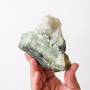 Virginia Apophyllite on Prehnite {Rare}