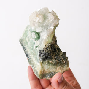 Virginia Apophyllite on Prehnite {Rare}