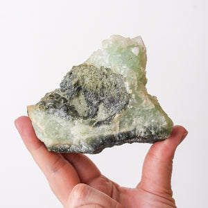 Virginia Apophyllite on Prehnite {Rare}