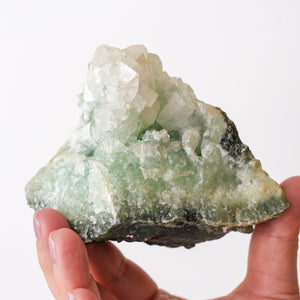 Virginia Apophyllite on Prehnite {Rare}