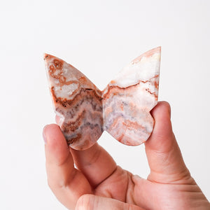 Swirly Crazy Lace Agate Butterly