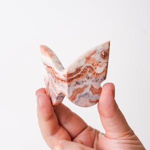 Swirly Crazy Lace Agate Butterly